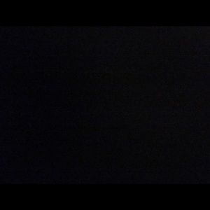 Meet your Posher, Rose